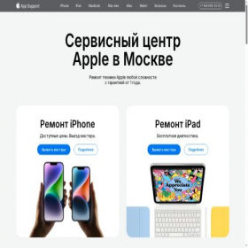 Скриншот главной страницы сайта app-support.ru