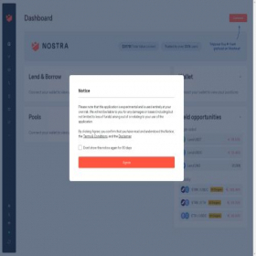 Скриншот главной страницы сайта app.nostra.finance