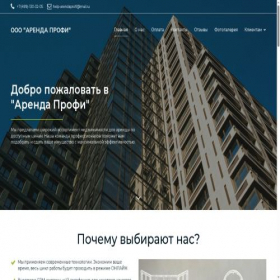 Скриншот главной страницы сайта aprofi.pro