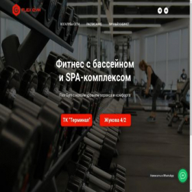 Скриншот главной страницы сайта aquaflexgym55.ru