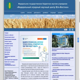 Скриншот главной страницы сайта arisersar.ru