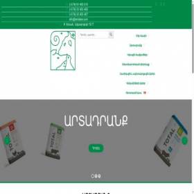 Скриншот главной страницы сайта arndane.com