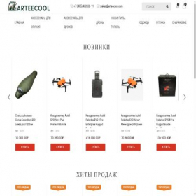 Скриншот главной страницы сайта arteecool.com