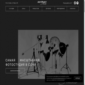 Скриншот главной страницы сайта artportstudio.ru