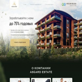 Скриншот главной страницы сайта asgard-premium.com