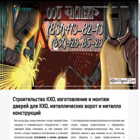 Скриншот главной страницы сайта aspect52.ru