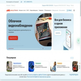 Скриншот главной страницы сайта astra.b2b.domru.ru