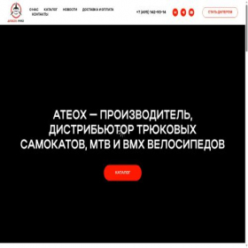 Скриншот главной страницы сайта ateox.ru
