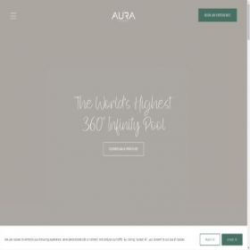 Скриншот главной страницы сайта auraskypool.com