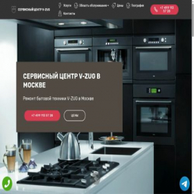 Скриншот главной страницы сайта authorized-service-v-zug.ru