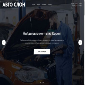 Скриншот главной страницы сайта auto-slon.online