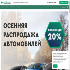Скриншот главной страницы сайта autovector-vlg.ru