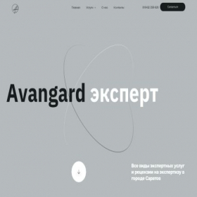 Скриншот главной страницы сайта avangard-exp.ru
