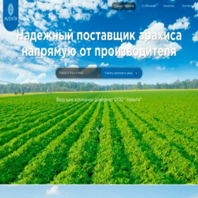 Скриншот главной страницы сайта aventafood.ru