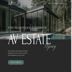Скриншот главной страницы сайта avestate.ru