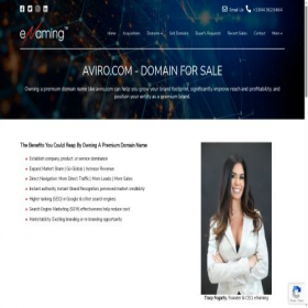 Скриншот главной страницы сайта aviro.com