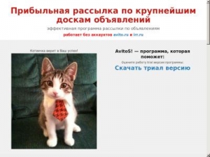 Скриншот главной страницы сайта avitos.acc-market.biz