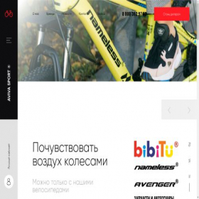 Скриншот главной страницы сайта avivasport.ru