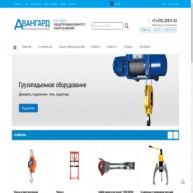 Скриншот главной страницы сайта avng.ru