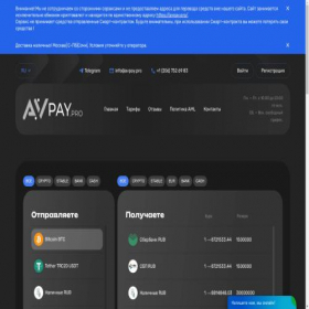 Скриншот главной страницы сайта avpay.pro