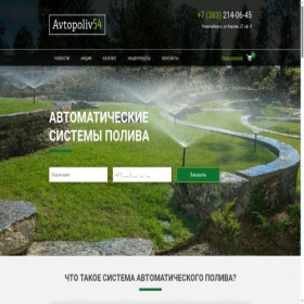 Скриншот главной страницы сайта avtopoliv-54.ru