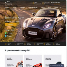 Скриншот главной страницы сайта avtovikup001.ru