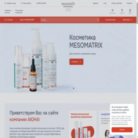 Скриншот главной страницы сайта ayna-spb.ru