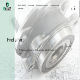 Скриншот главной страницы сайта b-ring.com