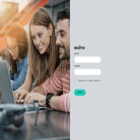 Скриншот главной страницы сайта b2b-dm.delimobil.ru