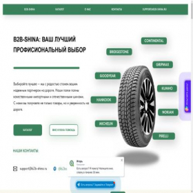 Скриншот главной страницы сайта b2b-shina.ru