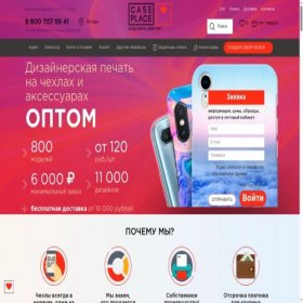 Скриншот главной страницы сайта b2b.case-place.ru