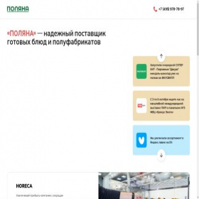 Скриншот главной страницы сайта b2b.polyana.pro