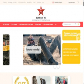 Скриншот главной страницы сайта b2bstart.ru