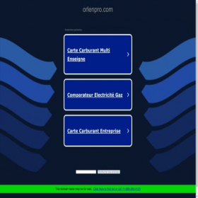 Скриншот главной страницы сайта backoffice.orlenpro.com