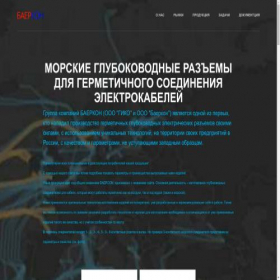 Скриншот главной страницы сайта baercon.ru