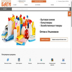 Скриншот главной страницы сайта bagi66.ru