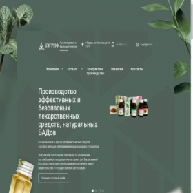 Скриншот главной страницы сайта bagrif.ru