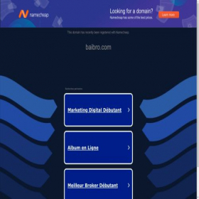 Скриншот главной страницы сайта baibro.com