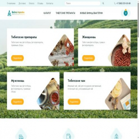 Скриншот главной страницы сайта baikal-apteka.ru