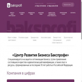 Скриншот главной страницы сайта baksprofi.ru