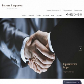 Скриншот главной страницы сайта bakulin.pro