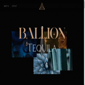 Скриншот главной страницы сайта ballion.net