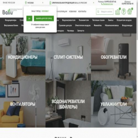 Скриншот главной страницы сайта ballu-store.ru