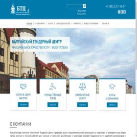Скриншот главной страницы сайта baltictender.ru