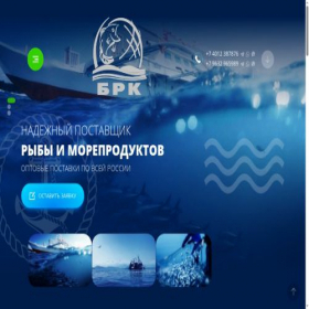 Скриншот главной страницы сайта baltrybkom.ru