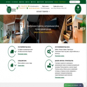 Скриншот главной страницы сайта bamboocapital.ru