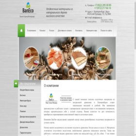 Скриншот главной страницы сайта baneco.ru