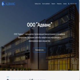 Скриншот главной страницы сайта bankrotorg.online