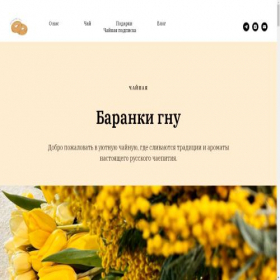 Скриншот главной страницы сайта barankignu.tilda.ws