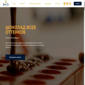 Скриншот главной страницы сайта bariorspb.ru